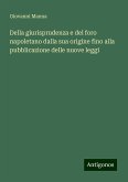 Della giurisprudenza e del foro napoletano dalla sua origine fino alla pubblicazione delle nuove leggi