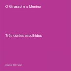 O Girassol E O Menino O Girassol E O Menino