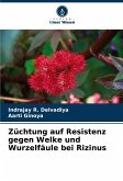 Züchtung auf Resistenz gegen Welke und Wurzelfäule bei Rizinus Züchtung auf Resistenz gegen Welke und Wurzelfäule bei Rizinus