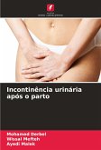 Incontinência urinária após o parto