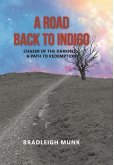 A Road Back to Indigo