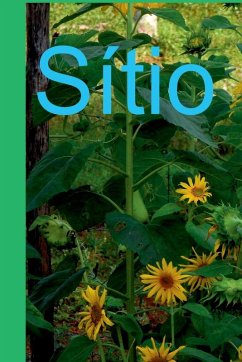 Sítio - José, Sucesso