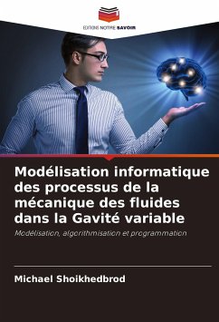 Modélisation informatique des processus de la mécanique des fluides dans la Gavité variable - Shoikhedbrod, Michael