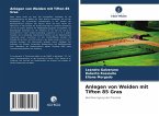 Anlegen von Weiden mit Tifton 85 Gras