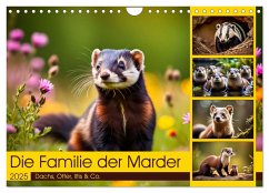 Die Familie der Marder (Wandkalender 2025 DIN A4 quer), CALVENDO Monatskalender