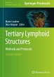 Tertiary Lymphoid Structures - Bild 1
