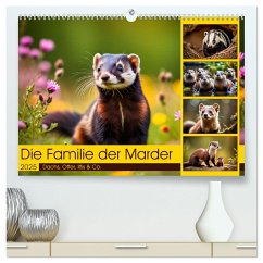 Die Familie der Marder (hochwertiger Premium Wandkalender 2025 DIN A2 quer), Kunstdruck in Hochglanz - Calvendo;Kleemann, Claudia