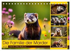 Die Familie der Marder (Tischkalender 2025 DIN A5 quer), CALVENDO Monatskalender