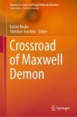 Crossroad of Maxwell Demon (eBook, PDF)