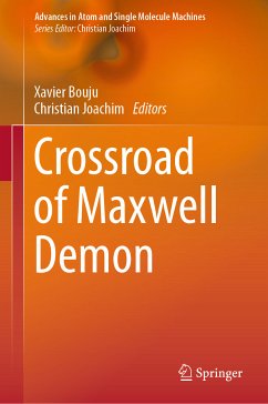 Crossroad of Maxwell Demon (eBook, PDF)