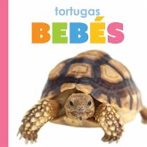 Tortugas Bebes