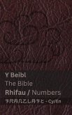 Y Beibl (Rhifau) / The Bible (Numbers)