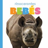 Rinocerontes Bebes
