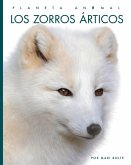 Los Zorros Articos Los Zorros Articos