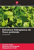 Estrutura hidropónica de fluxo profundo