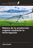 Mejora de la producción vegetal mediante la fertirrigación