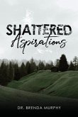 Shattered Aspirations