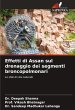 Effetti di Assan sul drenaggio dei... - Bild 1
