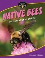 Native Bees - Feldstein, Stephanie