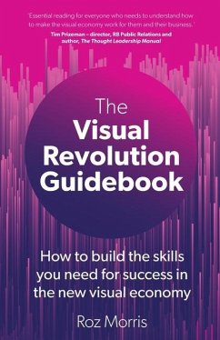 The Visual Revolution Guidebook - Morris, Roz