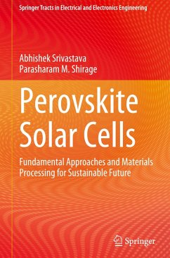 Cover Perovskite Solar Cells