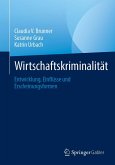 Wirtschaftskriminalität