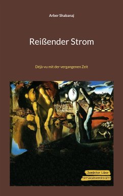 Reißender Strom (eBook, ePUB) - Shabanaj, Arber