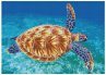 DIAMOND DOTZ 2591805 - Diamond Painting... - Bild 1