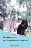 Begegnung mit freilebenden Katzen