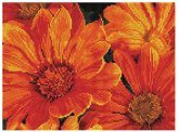 DIAMOND DOTZ 2592676 - Diamond Painting Mittagsblume