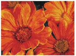 Cover DIAMOND DOTZ - Diamond Painting Mittagsblume