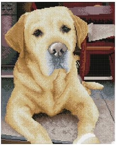 Cover DIAMOND DOTZ - Diamond Painting Labrador