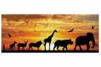 DIAMOND DOTZ 2591515 - Diamond Painting Afrika Safari