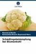 Schädlingsbekämpfung bei Blumenkohl - Bild 1