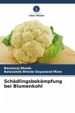 Schädlingsbekämpfung bei Blumenkohl