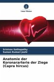 Anatomie der Koronararterie der Ziege (Capra hircus)