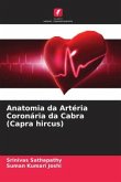 Anatomia da Artéria Coronária da Cabra (Capra hircus)