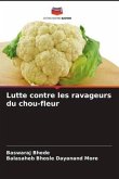 Lutte contre les ravageurs du chou-fleur