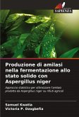 Produzione di amilasi nella fermentazione allo stato solido con Aspergillus niger