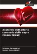 Anatomia dell'arteria coronaria della... - Bild 1