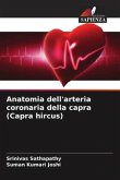 Anatomia dell'arteria coronaria della capra (Capra hircus)