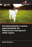 Avvelenamento cronico sperimentale da Palicourea marcgravii nelle capre