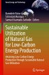 Sustainable Utilization of Natural Gas... - Bild 1