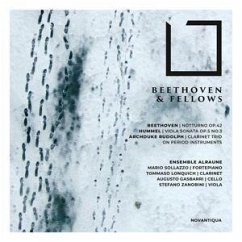 Cover Beethoven & Fellows
