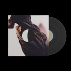 The Night The Zombies Came (Lp)