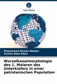 Wurzelkanalmorphologie des 1. Molaren des Unterkiefers in einer pakistanischen Population