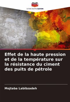 Effet de la haute pression et de la température sur la résistance du ciment des puits de pétrole - Labibzadeh, Mojtaba