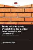 Étude des situations d'instabilité des pentes dans la région de Catumbela