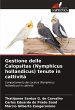 Gestione delle Calopsitas (Nymphicus... - Bild 1