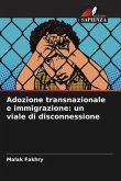 Adozione transnazionale e immigrazione: un viale di disconnessione